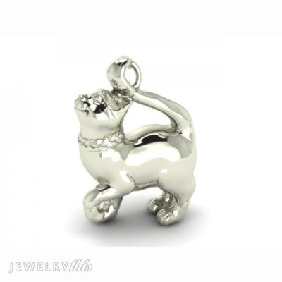 example of a charm