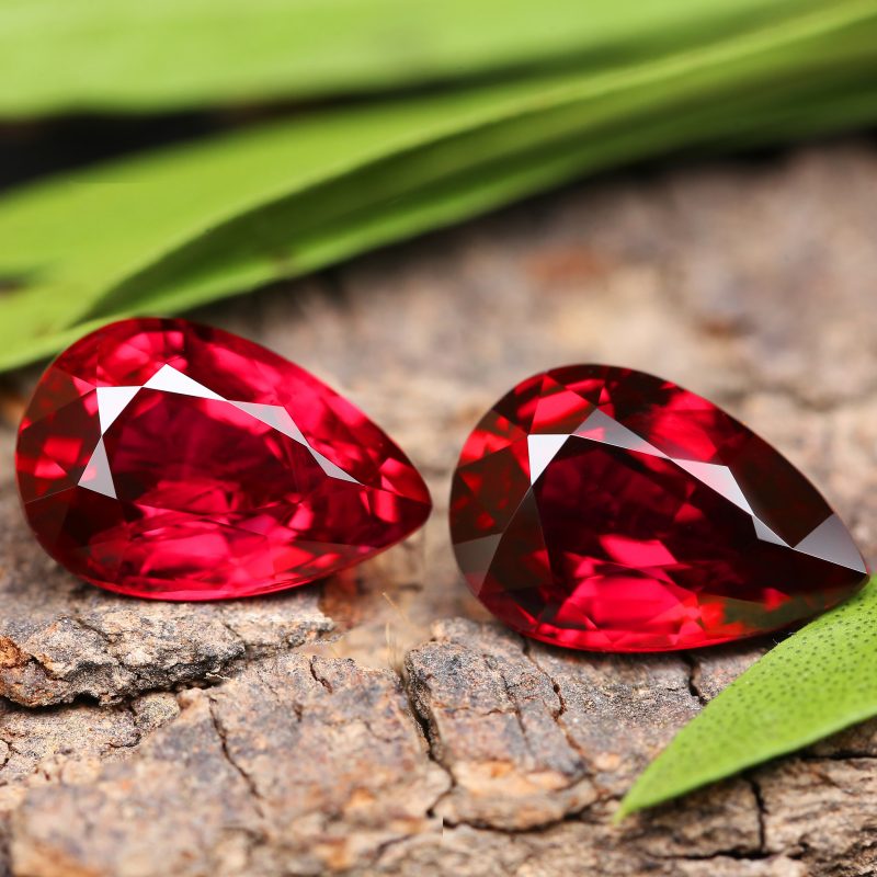 pear-ruby-gemstone-extinction-bark-plant